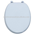 Plastic Toilet Seat and Cover Mould Tooling